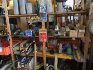 img_1351.jpg