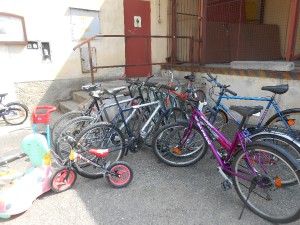 dscn5356.jpg