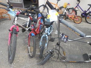 dscn5381.jpg