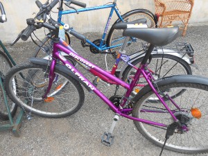 dscn5383.jpg