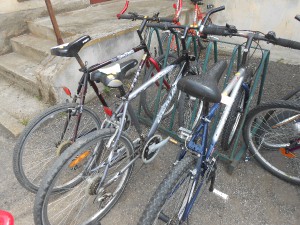 dscn5384.jpg