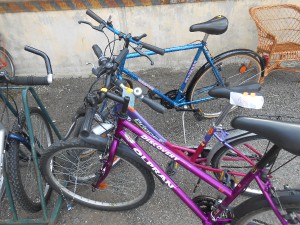 dscn5385.jpg