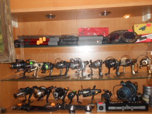 dscn5378.jpg